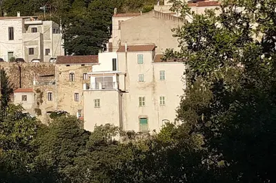 a group of buildings on a hill with trees at Gîte E Curtaline in Speloncato