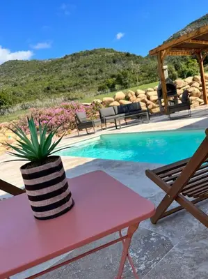 a potted plant sitting on a table next to a pool at Très belle villa au calme avec piscine à Sagone in Sagone