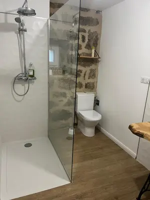 a bathroom with a toilet and a glass shower at A Casa Carbinesa in Carbini