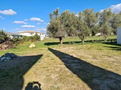 a shadow of a person standing in a field with trees at Appartement de détente et vue sur montagnes in Ghisonaccia