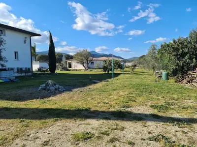 a yard with a white house and a tree at Appartement de détente et vue sur montagnes in Ghisonaccia