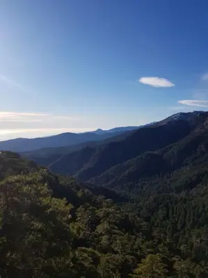 an aerial view of a valley with trees and mountains at Appartement de détente et vue sur montagnes in Ghisonaccia