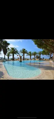 a large swimming pool with palm trees in the background at Appartement front de mer et piscines in Ghisonaccia