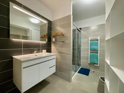 a bathroom with a sink and a shower at Appartamentu A Leccia in Grosseto-Prugna
