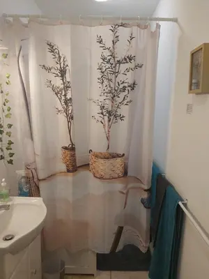 a bathroom with a shower with two trees on the wall at Le Francorsicat in Serra-di-Ferro