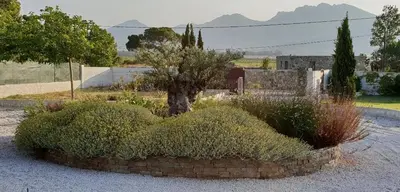 a garden with bushes and trees and a street light at VILLA luxueuse privée avec piscine lagon in Calenzana