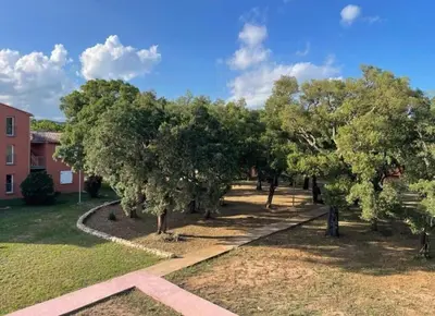 a row of trees in front of a building at Casa Ghjulia St-Cyprien Rétro Chic in Lecci