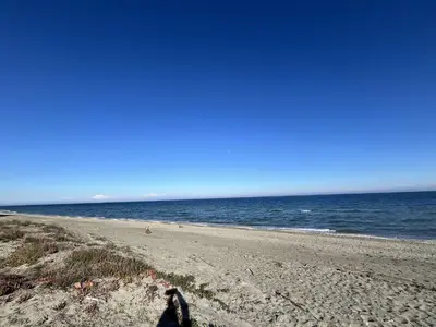 a person standing on a beach near the ocean at Appartement jardin à deux pas de la mer Classé 3 étoiles in Poggio-Mezzana