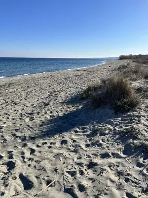 a sandy beach with footprints in the sand and the ocean at Appartement jardin à deux pas de la mer Classé 3 étoiles in Poggio-Mezzana