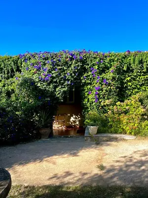 a garden with purple flowers growing on a hedge at Domaine Victoria in SantʼAntonino