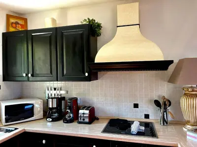 a kitchen with green cabinets and a microwave at Domaine Victoria in SantʼAntonino