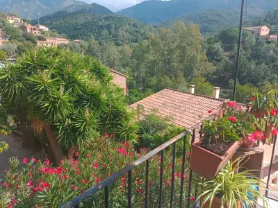 a balcony with plants and flowers on a mountain at JOLI 2 PIECES SERRIERA in Serriera