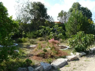 a garden with rocks and trees in the background at Villa classée 5* 7 chambres piscine spa plage à 5' in Sainte-Lucie de Porto-Vecchio