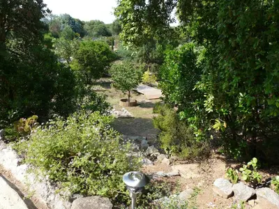 a garden with a light in the middle of it at Villa classée 5* 7 chambres piscine spa plage à 5' in Sainte-Lucie de Porto-Vecchio