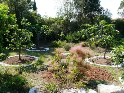 a garden with two trees and rocks at Villa classée 5* 7 chambres piscine spa plage à 5' in Sainte-Lucie de Porto-Vecchio