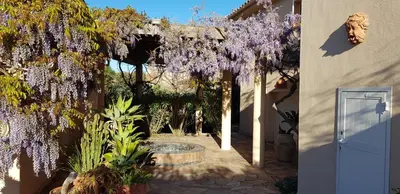 a garden with purple wisteria hanging from a pergola at Villa classée 5* 7 chambres piscine spa plage à 5' in Sainte-Lucie de Porto-Vecchio