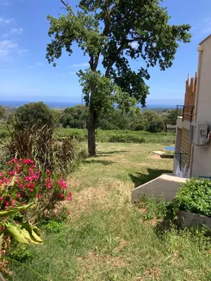a tree in the grass next to a house at DOLCE VITA-Calme-Vue Mer in Chiatra