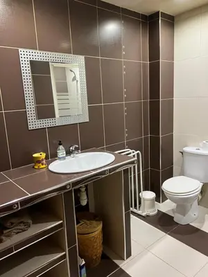 a bathroom with a sink and a toilet at Appartement sous les toits in Piana