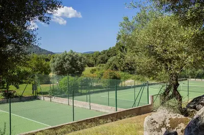 a tennis court with a tree on top of it at Domaine d'Arca - Eluard 04 - 6 pers in Porto-Vecchio