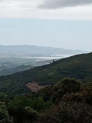 a view of a hill with trees and a lake at Maison individuelle au calme in Valle-di-Mezzana