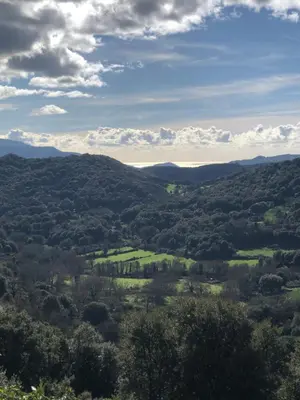 a view of a valley with hills and trees at Maison de charme entre mer et montagne in Forciolo