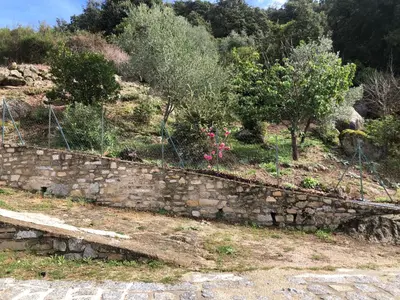 a stone retaining wall with trees and bushes at Maison de charme entre mer et montagne in Forciolo