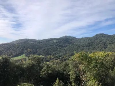 auliculiculiculiculiculiculiculiculiculiculiculiculiculiculic at Maison de charme entre mer et montagne in Forciolo