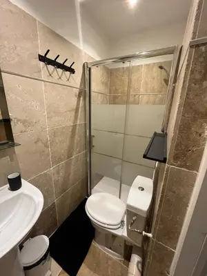 a bathroom with a shower and a toilet and a sink at Appartement douillet en ville in Ajaccio
