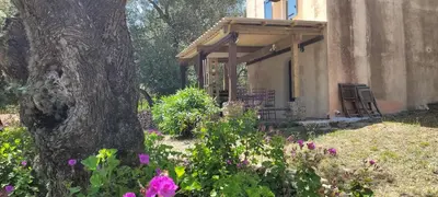 a porch of a house with a tree and flowers at tour casella in Bonifacio