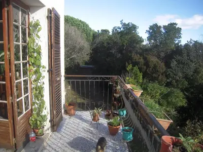 an open balcony with potted plants on it at CASA DI SIGNARE in Ventiseri
