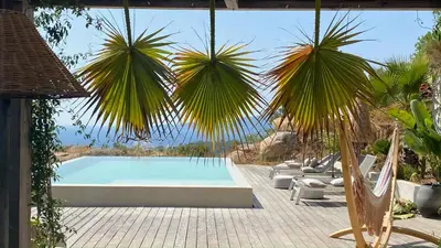 a swimming pool with some palm trees and chairs at 1,2,3 soleil in Porticcio