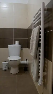 a bathroom with a toilet and a towel rack at Capstay studio avec grande terrasse proche aéroport Bastia - Lucciana - Centre in Lucciana