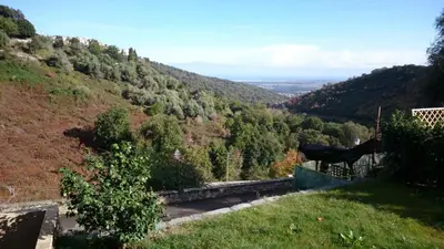 a view of a hill with trees on it at Charmante Maison de village, Proche Aéroport in Lucciana
