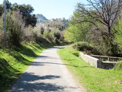 a dirt road with grass and trees on either side at Holiday Home Casa Serena by Interhome in San-Giuliano