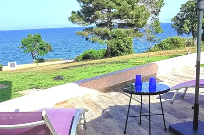 a table with purple chairs and a view of the ocean at Pieds dans l'eau - La Villa Crique aux tortues in Zonza