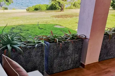 two potted plants on a balcony with a view of a park at Pieds dans l'eau - La Villa Crique aux tortues in Zonza