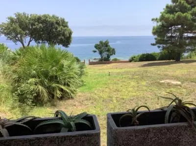 two potted plants in a yard with the ocean in the background at Pieds dans l'eau - La Villa Crique aux tortues in Zonza