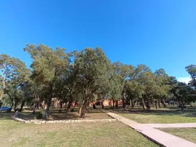 a path in a park with trees and a building at T3 Picchiarini, Clim, piscines, resto, 5' plages in Lecci