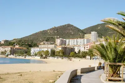 a beach with buildings and palm trees and a mountain at Grand T3 avec vue mer - Proche plage - Parking & AC in Ajaccio
