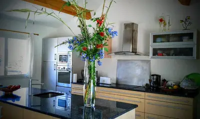 a kitchen with a vase filled with flowers on a counter at Casalta di san ghjuva in Eccica-Suarella