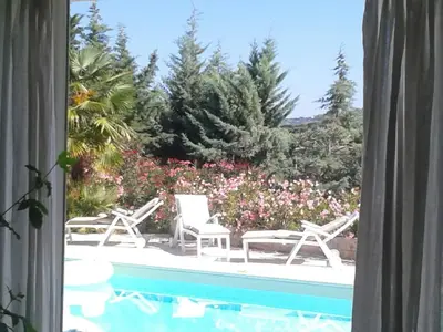 a view of a swimming pool with chairs and flowers at Casalta di san ghjuva in Eccica-Suarella