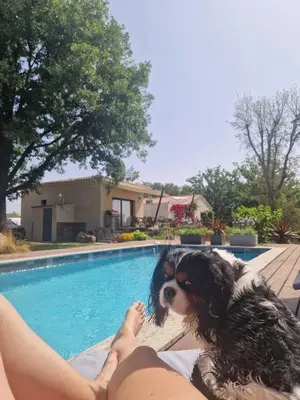 a person laying next to a dog next to a swimming pool at casasantellix in Prunelli-di-Fiumorbo