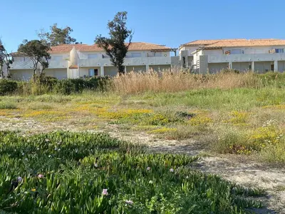 a field of flowers in front of a building at Studio en bord de mer sur Costa Serena N54 in Linguizzetta