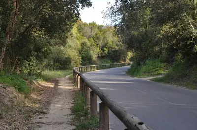 a road with a fence on the side of it at Studio en bord de mer sur Costa Serena N54 in Linguizzetta