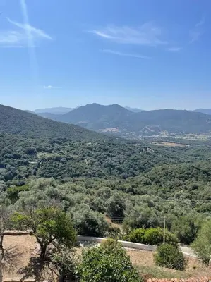 a view of a valley with trees and mountains at Appartement familial au cœur du village d’Olmeto in Olmeto