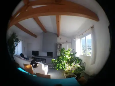 a view of a living room with a couch and plants at maison de rêve dans un écrin de verdure au calme in Eccica-Suarella