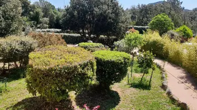 a garden with bushes and trees and a path at A VIGNA VECCHIA chambre d'hôtes in Porto-Vecchio