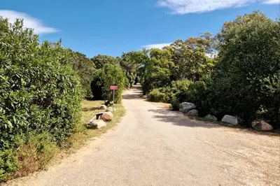 a dirt road with rocks and trees on either side at Petit nid douillet à deux pas de Santa Giulia in Porto-Vecchio
