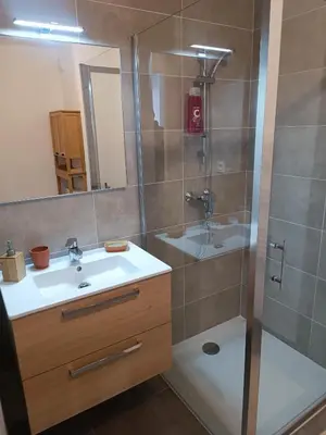 a bathroom with a sink and a shower at Très beau T2 in Ajaccio