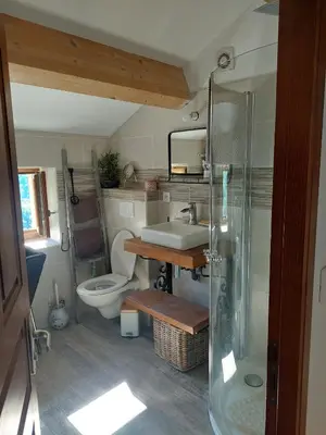 a bathroom with a toilet and a sink and a shower at Maison de charme Orezza Haute-Corse Castagniccia in Carpineto